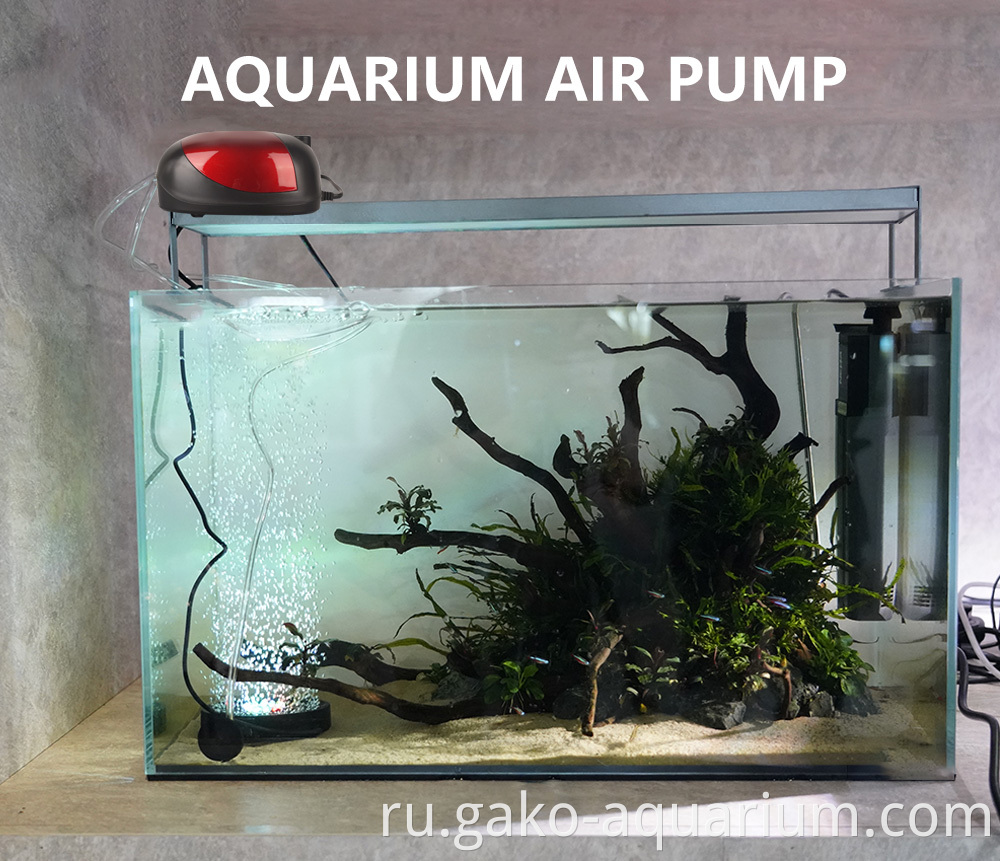 Air pump (2)